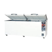 Chest Freezer AB-750-R