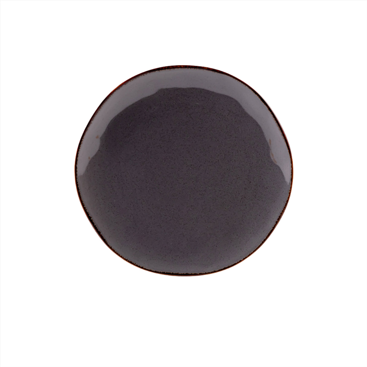 Caldera Grey Dinner Plate