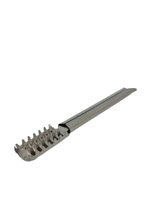S/S Fish Brush