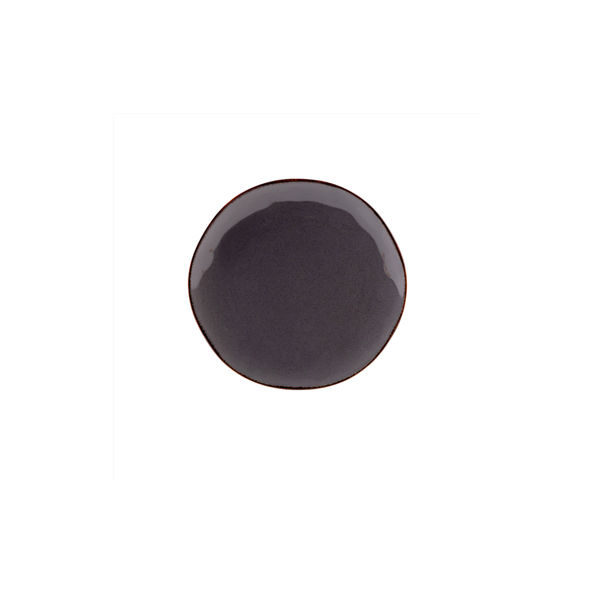 Caldera Grey Dinner Plate